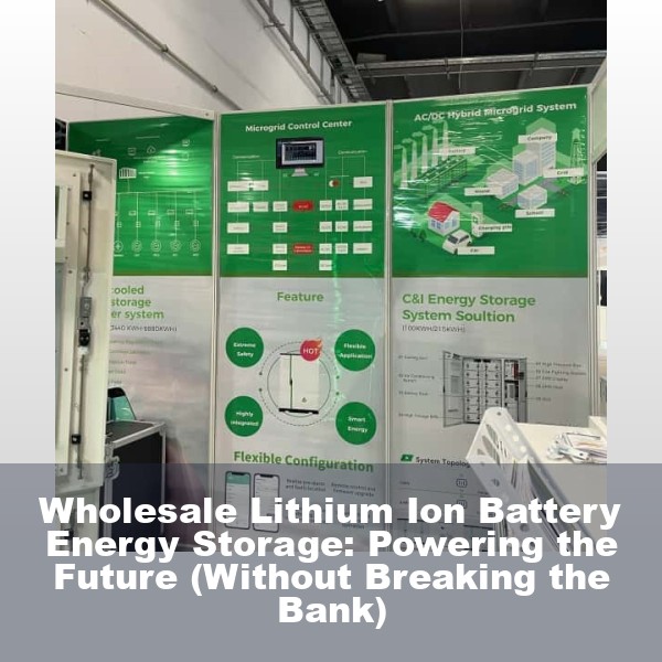 Wholesale Lithium Ion Battery Energy Storage: Powering the Future (Without Breaking the Bank)